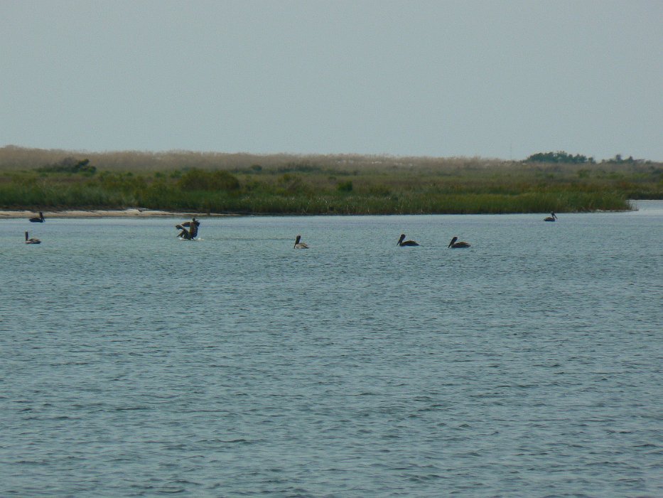 Labor Day 2009 Crooked Island, Shell Island Sound and St. Andrews